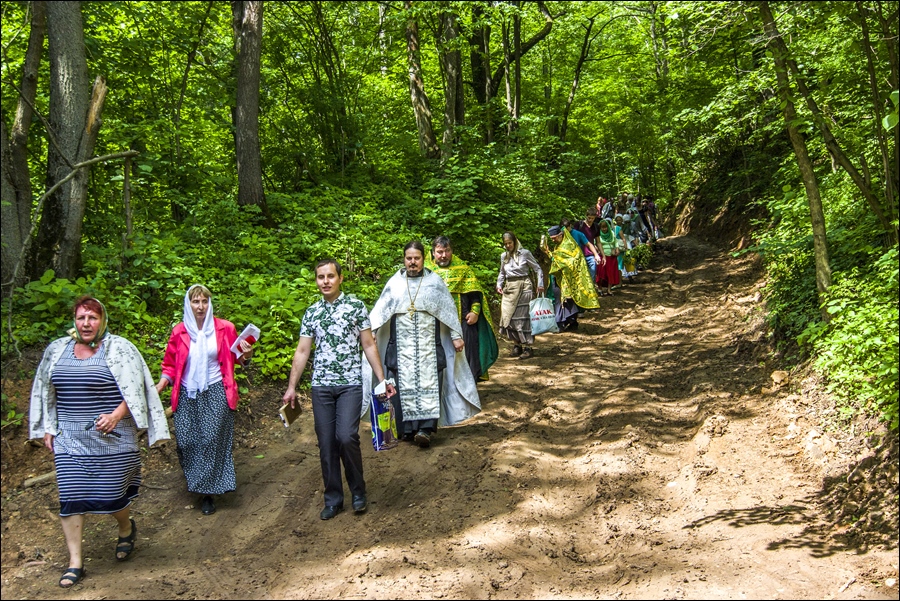Крестный ход на Никитский источник села Богородское в День Святой Троицы. Сергиево-Посадский район. 19 июня 2016 года